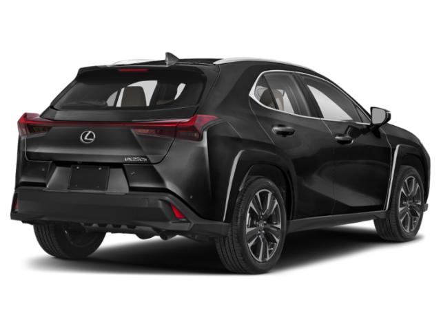 2024 LEXUS UX 250H AWD 4dr Crossover lease NYC Exterior Back